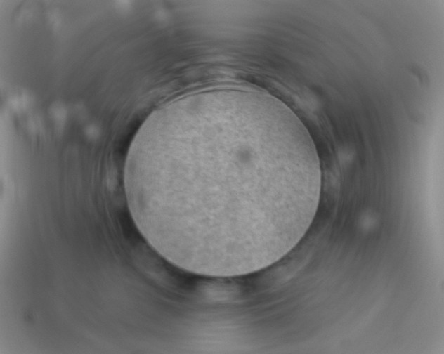 X0000113900331200910151401