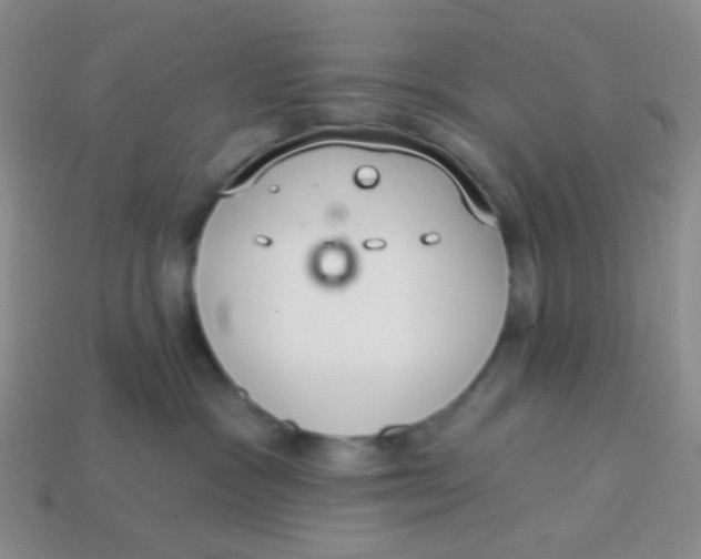 X0000113900333200910151401