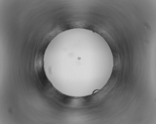 X0000113900334200910151401