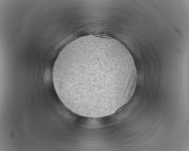 X0000113900335200910151401