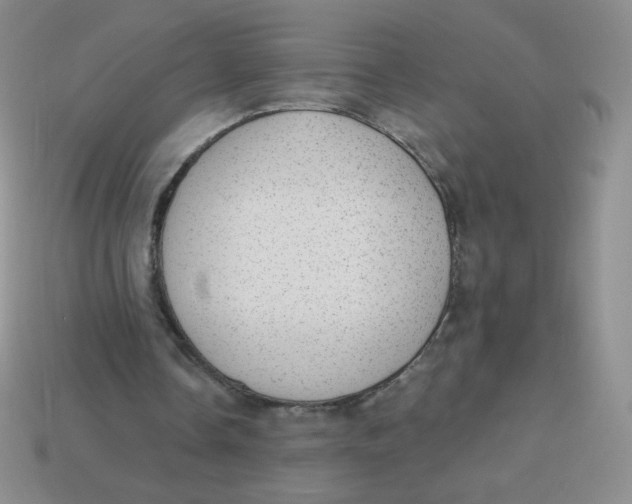 X0000113900338200910151401