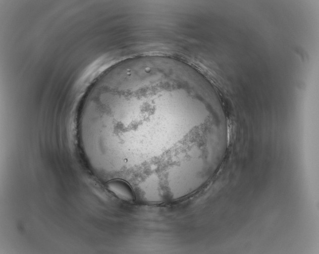 X0000113900339200910151401