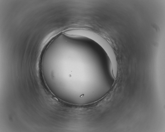 X0000113900340200910151401