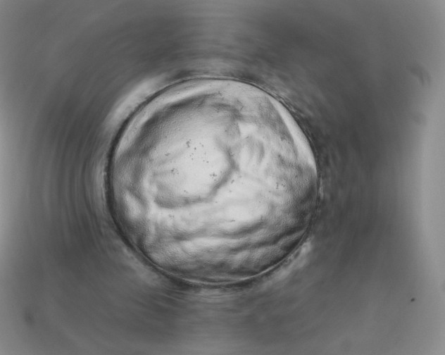 X0000113900341200910151401