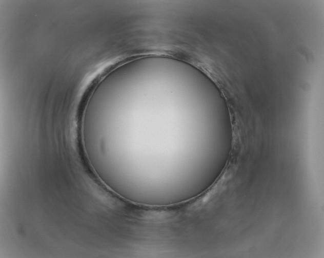 X0000113900342200910151401