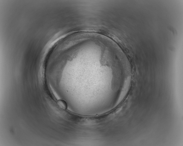 X0000113900343200910151401