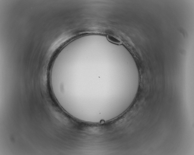 X0000113900344200910151401