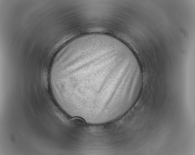 X0000113900345200910151401