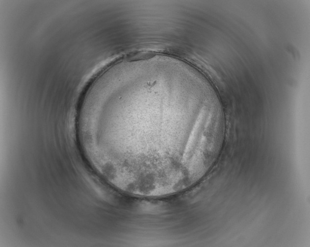 X0000113900346200910151401