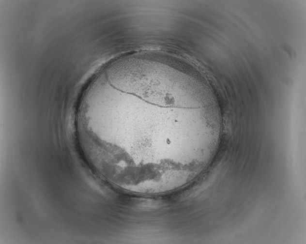 X0000113900347200910151401