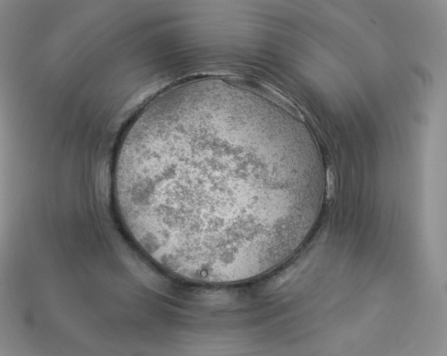 X0000113900349200910151401