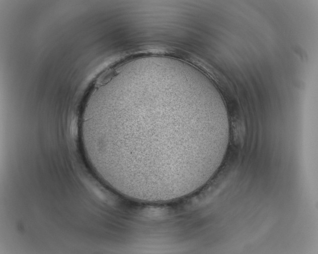 X0000113900350200910151401