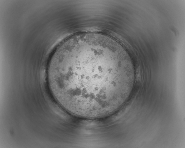 X0000113900351200910151401