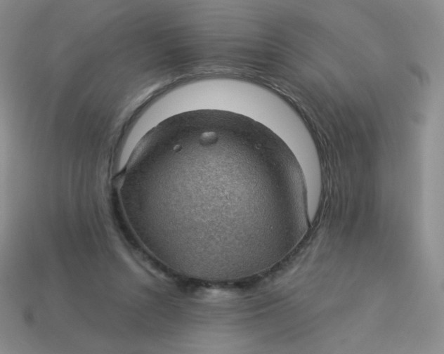 X0000113900352200910151401