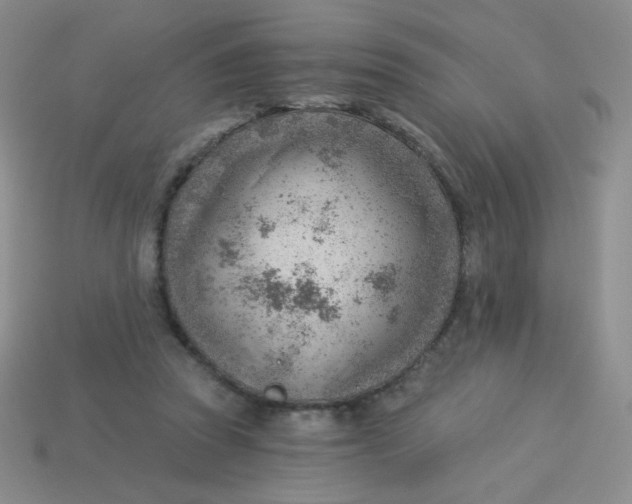 X0000113900353200910151401