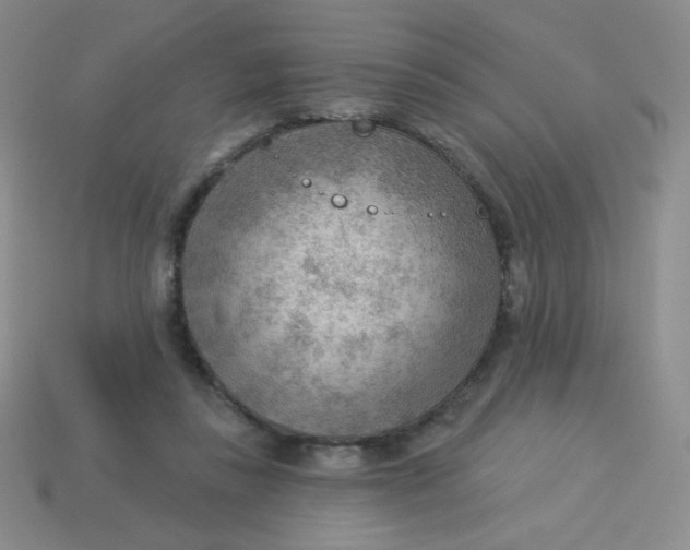 X0000113900355200910151401