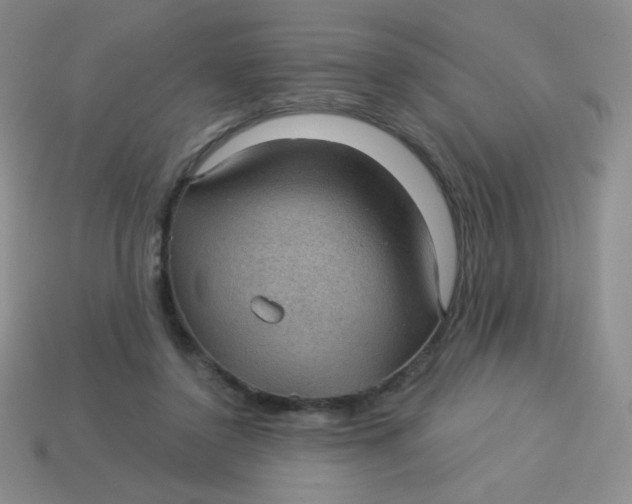 X0000113900356200910151401