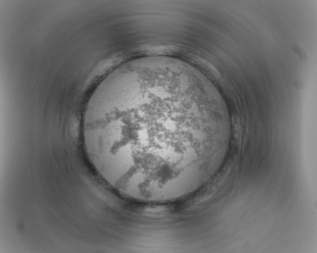 X0000113900357200910151401