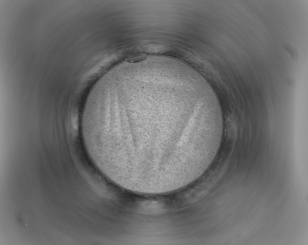 X0000113900358200910151401