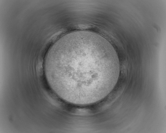 X0000113900360200910151401