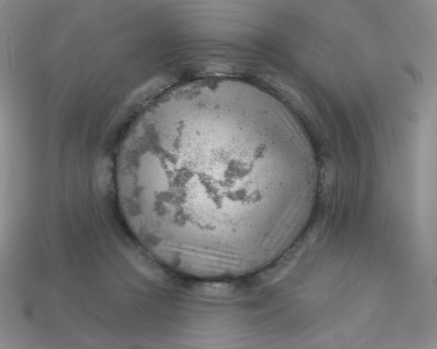 X0000113900361200910151401