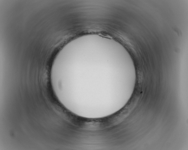 X0000113900362200910151401