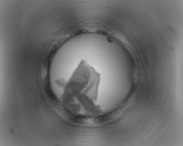 X0000113900365200910151401