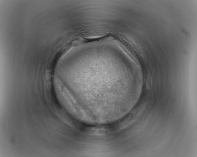 X0000113900366200910151401