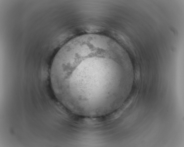 X0000113900367200910151401