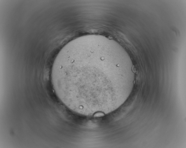 X0000113900368200910151401