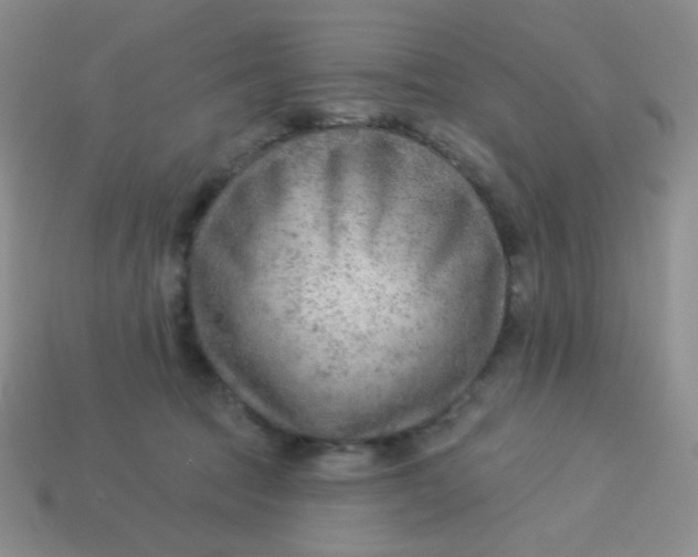 X0000113900369200910151401