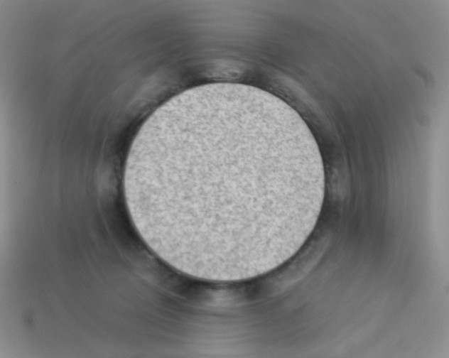 X0000113900370200910151401