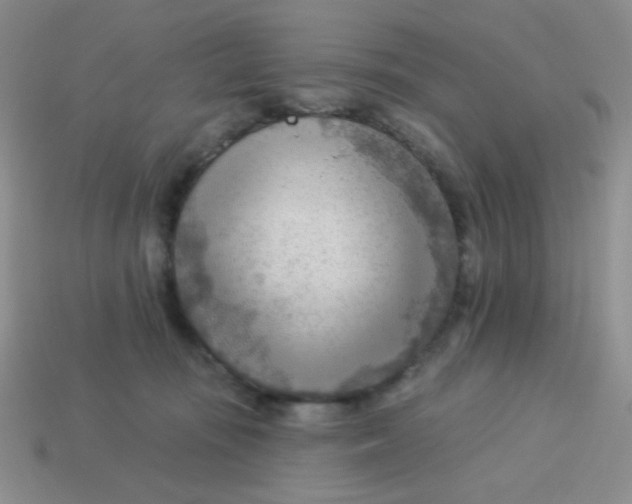 X0000113900371200910151401