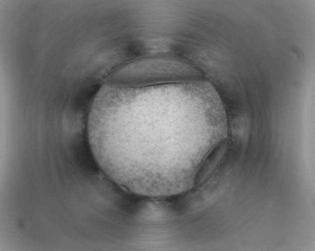 X0000113900372200910151401