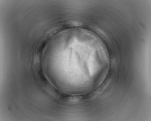 X0000113900373200910151401