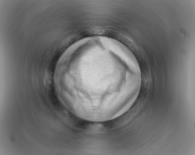 X0000113900374200910151401