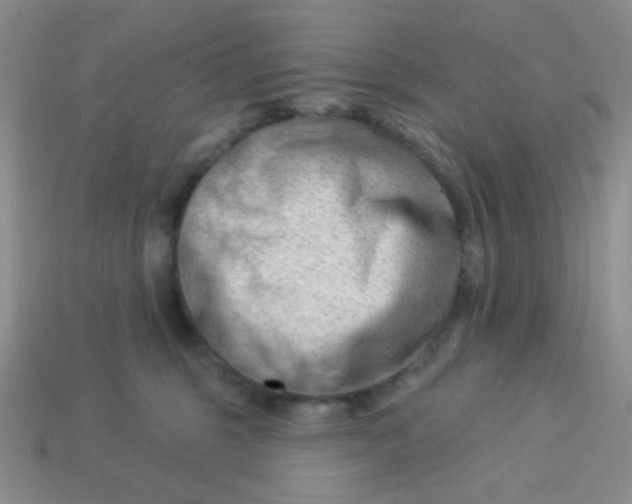 X0000113900375200910151401