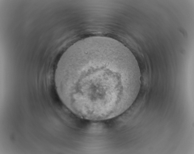 X0000113900376200910151401