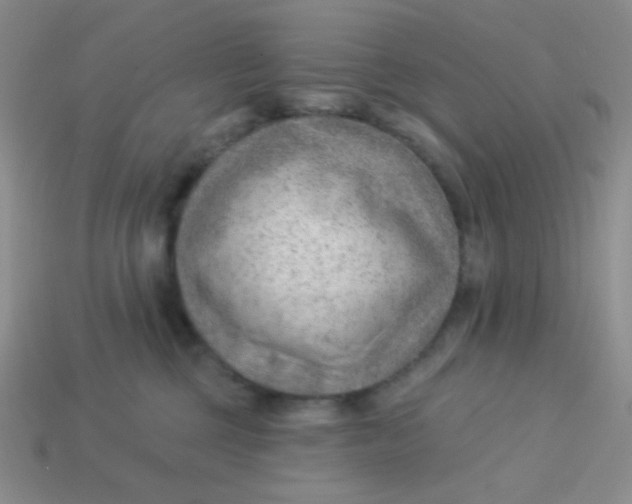 X0000113900377200910151401