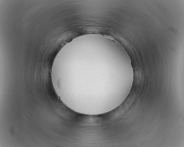 X0000113900379200910151401