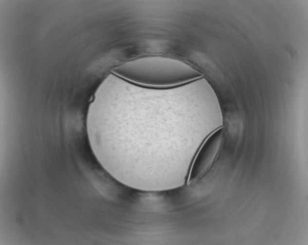 X0000113900380200910151401