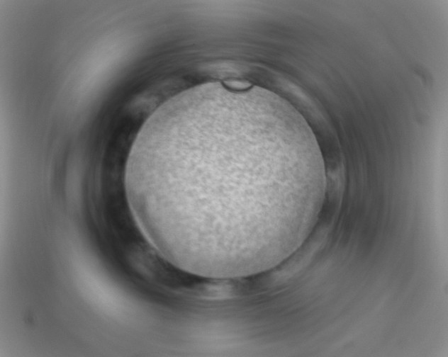 X0000113900381200910151401