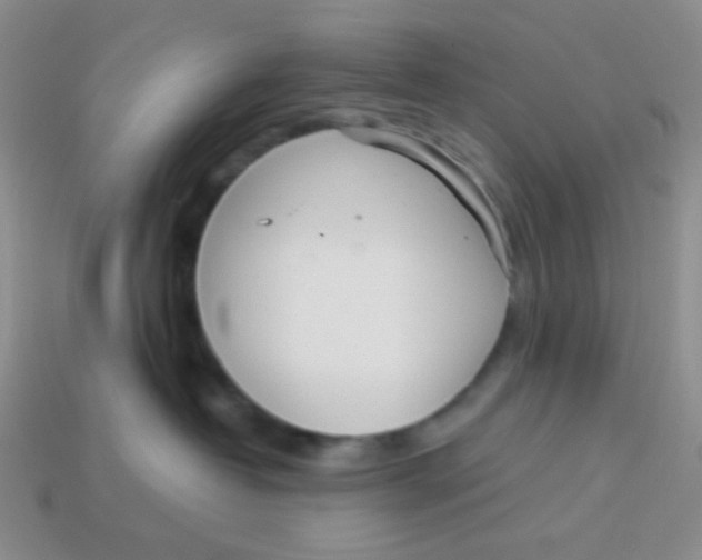 X0000113900382200910151401