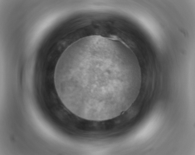 X0000113900383200910151401