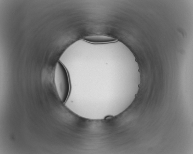 X0000113900384200910151401