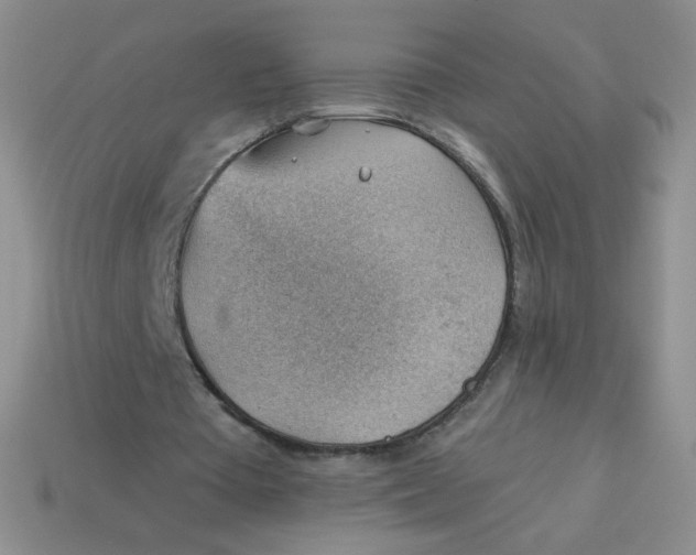 X0000113900385200910151400