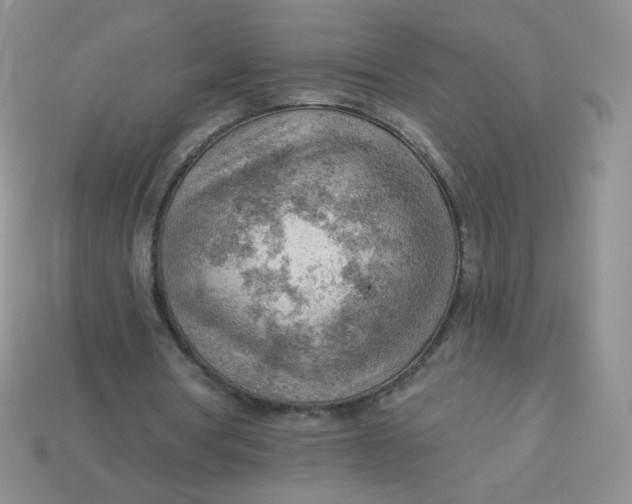 X0000113900386200910151400