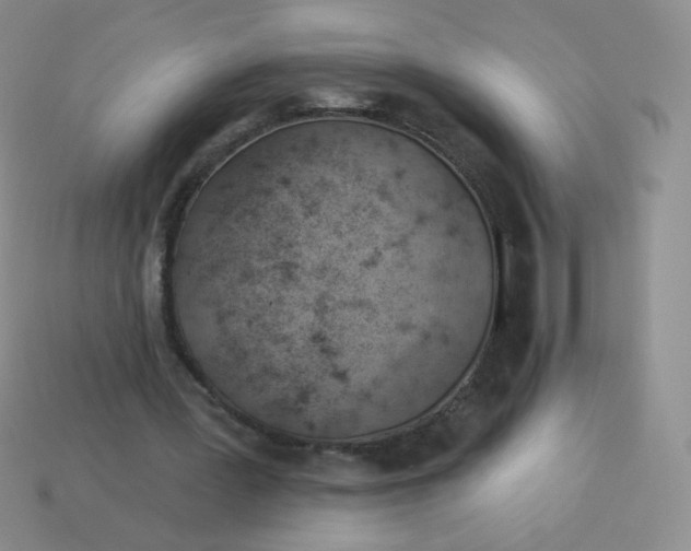 X0000113900387200910151400