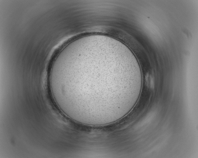 X0000113900388200910151400