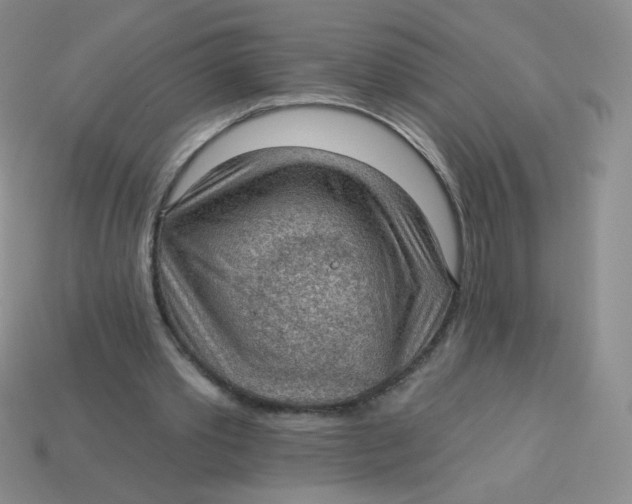 X0000113900389200910151400